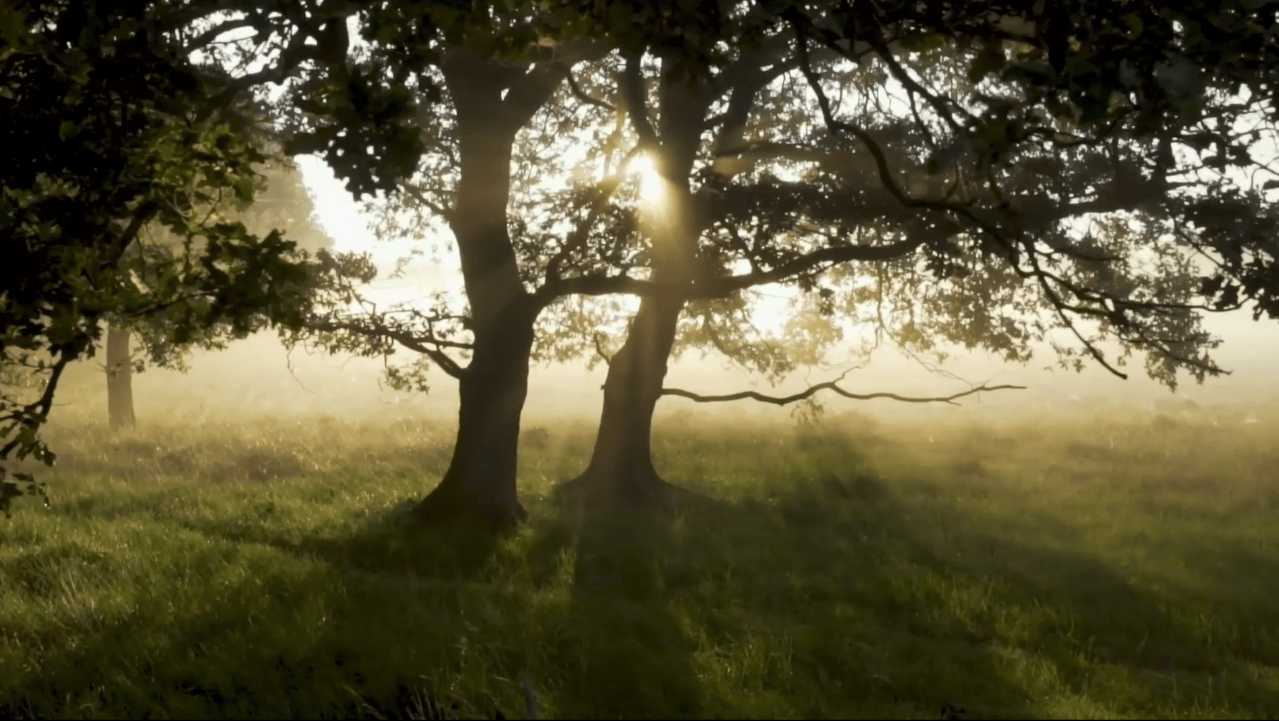 Paesaggio e ambiente